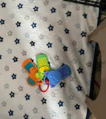 Shadow got a new toy. Aaand she's been playing with them a lot 😂