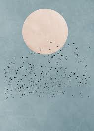 Birds Fly Away Poster In 2020 Birds Flying Away Bird Poster Online Wall Art
