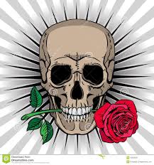 Collé les barres de civière noyau bois. Schadel Der Eine Rose In Seinem Mund Halt Vektor Abbildung Illustration Von Symbol Furchtsam 40556351