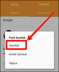 Tanpa aplikasi tambahan, sebenarnya kita sudah bisa langsung mengubah format gambar di sistem operasi windows dengan cara rename saja alias ubah nama. Cara Ganti Foto Profil Whatsapp Orang Lain Di Hp Kita Cara Uhuy