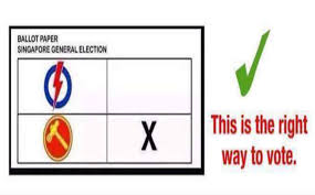 11 Very Good Reasons To Vote For The Pap Nestia