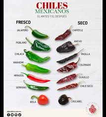 Pin By Mary Blaine On Food Mexican Recipes Mexican Food Recipes Mexican Food Recipes Authentic Stuffed Peppers