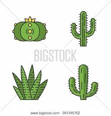 To get more image similar to the picture given above your kids can check the following related images section at the end of the page or maybe. Wild Cactus Color Vector Photo Free Trial Bigstock
