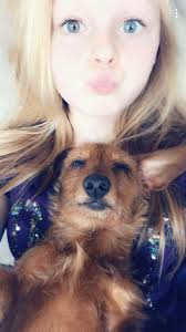 Lost Dog Remy in PA/WV Area