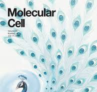 Journal Cover Design Service,Scientific Publication Cover ...