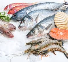 Standard Cold Storage :: Frozen Food Supplier Johor Bahru (JB ...