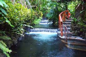 There is a large fresh water pool & bullet slide, the spa, botanical gardens, butterfly farm. Arenal Tabacon Hot Springs All Day Pass Welcome To Arenas Brasilito Located In Guanacaste Costa Rica Home To Playa Conchal Jetski Tours Atv Tours And Activities Beyond The Resort