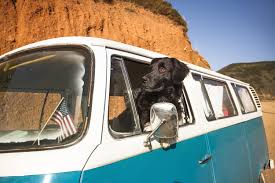 There Are 5 Pet Friendly Restaurants In Galena Il Need Help Deciding Where To Eat View Pictures Of Each Do In 2020 Pet Friendly Hotels Dog Friendly Beach Dog Travel