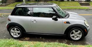 Image result for Pure Silver 2010 Mini