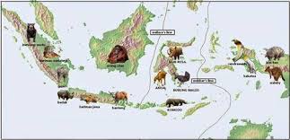 Maybe you would like to learn more about one of these? Persebaran Flora Dan Fauna Di Indonesia Beserta Gambarnya Contoh