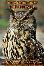 Featured Great Horned Owl Memes Funny Owl Memes Funny Owl Pictures Funny Owls