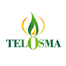 Image result for Telosma