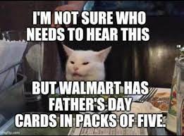 The Cat Doesn T Talk
