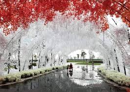 In most of sities, towns. There S A New And Pretty Park In Batu Kawan Penang Penang Foodie