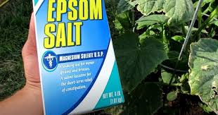 Cost effective, answers many organic gardening needs, affordable, easy on plants. 15 Clever Ways To Use Epsom Salt In The Garden Diy Crafts