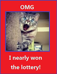 Thailand Lottery Results 1st August 2016 Thai Lotto Sixline And Lucky Numbers Join Us For The Results On The 1st And 16th Cats Cute Baby Animals Baby Animals