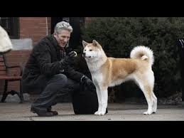 Hachiko Bir Kopegin Hikayesi Tek Parca Full Youtube