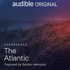 Amazon Com Audible Gold Digital Membership Audible Audiobooks In 2020 Best Audible Books Audible Books Audio Books