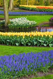 Only the best hd background pictures. Beautiful Garden Wallpaper Free Stock Photos Download 8 288 Free Stock Photos For Commercial Use Format Hd High Resolution Jpg Images Sort By Relevant First