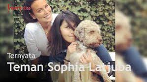 Abdee negara (lahir di donggala, sulawesi tengah, 28 juni 1968; Selain Abdee Slank 3 Pria Ini Dikabarkan Dekat Dengan Sophia Latjuba