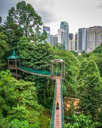 The batu caves, which are one of the best 14 things to do in kuala lumpur for free, are limestone caves which are located around 15 km from kuala lumpur. 4 Fun Free Things To Do In Kuala Lumpur Malaysia Singapore Travel Malaysia Travel Kuala Lumpur Travel
