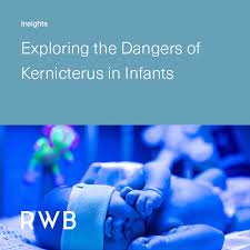 Image result for Kernicterus