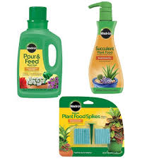 Grow fresh herbs, vegetables, salad greens, flowers and more. Buy Miracle Gro Indoor Plant Food 48 Spikes Plant Spikes Indoor Miracle Gro Soil Indoor Fertilizer Spikes Miracle Fertilizer Miracle Gro Bonus Blue Watering Globe 2 Watering Bulbs In Cheap Price On M Alibaba Com