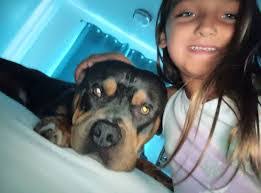 Harrison Hebert's Instagram, Twitter & Facebook