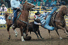 Many people viewing · selling fast · wide selection · secure delivery Rodeo Wikipedia