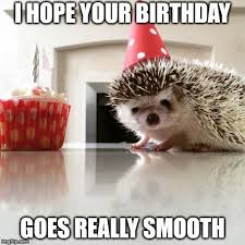 Birthday Quotes Happy Birthday Meme For Him The Quest For The Most Hilarious Happy Birthday Meme Happy Birthday Meme Sarcastic Birthday Wishes Funny Happy Birthday Meme