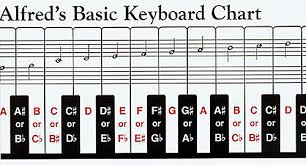 Alfred Keyboard Chart 88 Key Foldout Chart My Music Life