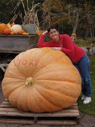 Image result for giant pumpkin