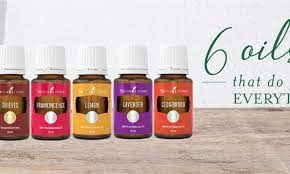 Use the following search parameters to narrow your results 6 Essential Oil Serbaguna Young Living Blog