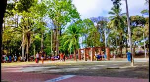 Parque Das Paineras | Paulista PE