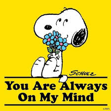 Day 361 Thinking Of My Son In Groningen Snoopy Love Snoopy Funny Snoopy Quotes