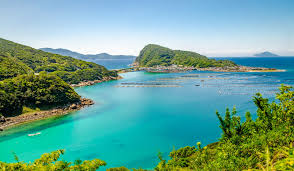 公式】高知県柏島の民宿 やなか屋