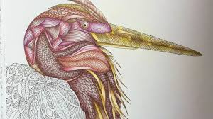 Animal Kingdom By Millie Marotta Polychromos Part 1 Youtube Millie marotta is the creator behind the no. animal kingdom by millie marotta polychromos part 1