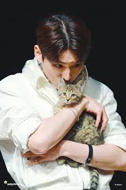 Monsta X Cat Monsta X Jooheon Cat Gucci Yoshi Monsta X Gucci Yoshi Cat Kitten Idol Pet Monsta X Kihyun Monsta X Monsta X Wonho