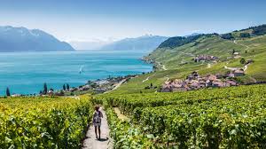 Lausanne is located 62 kilometres (38.5 miles) northeast of geneva. Lausanne Ein Kurztrip In Die Franzosische Schweiz Ferngeschehen
