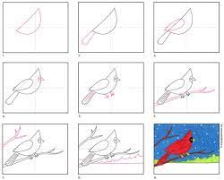 Maybe you would like to learn more about one of these? How To Draw A Cardinal Art Projects For Kids