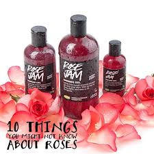 Check spelling or type a new query. Stories Lush Products Lush Handmade Cosmetics Lush Shower Gel