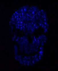 It keeps the original intense color of dark fabrics for a long period of time. Laundry Detergent Glowing Skull