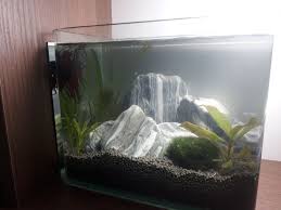 5 Litre Betta Mi Karides Mi