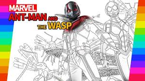 Maybe you would like to learn more about one of these? Marvel Ant Man And The Wasp How To Draw Super Hero Drawing And Coloring Pages Youtube
