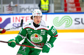 See the latest news, scores, stats and get tickets to every griffins home game. Detroit Red Wings Moritz Seider Happy In Sweden But Still Eying Nhl