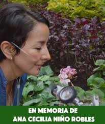 Hoy nos despertamos con una noticia muy triste. Falleció Ana Cecilia Niño  Robles. Ana creó una petición en Hagamos Eco exigiendo que se prohíba el  asbesto. Falleció producto de un mesotelioma, cáncer