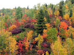 Risultati immagini per parc des monts valins carte