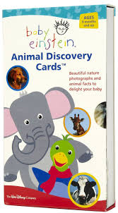 Baby Einstein Animal Discovery Cards Baby Einstein Discovery Card Animal Facts