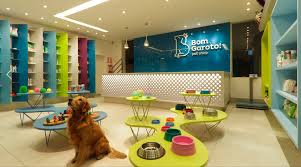 Illustrativo Estudio Triciclo Pet Shop Project Facebook Pet Store Design Pet Shop Pet Hotel