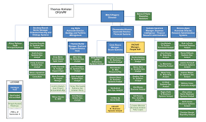 organizational chart financial systems solutions